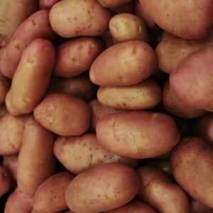 Burgonya 1 kg